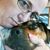 Dawn Smith's profile image