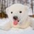 Terri Bear's profile image