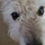 Sheila Calnan's profile image
