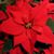 Jo Anne Washington's profile image