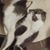 Randi Sparkman's profile image