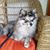 Debbie Darland's profile image