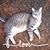 Misty Fisher Brown's profile image