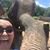 Jacqueline Becerra's profile image