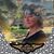 Stephanie Godwin's profile image