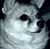 Judith Bradley's profile image