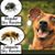 Karen Thompson's profile image