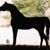 Quentin Naylor's profile image