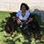 Brenda Rodriguez Robledo's profile image