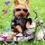 Norma Thompson-Doane's profile image