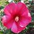 Kathy Karnick's profile image