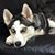 Terri Hartman Partridge's profile image