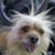 Melinda Mann's profile image