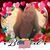 Jackie Romeo's profile image