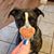 Mindy Faircloth's profile image