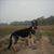 SA Spinks's profile image