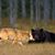 Jan Schneider Rydeen's profile image