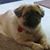 Roberta Lynn King's profile image