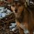 Cindy J Bergseid's profile image