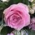 Jeanine James's profile image