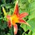 Dodie Toups Yendrey's profile image