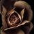 Carol Dalamangas's profile image