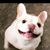 Scott Weyer's profile image