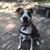 Carl J. Mosher's profile image