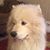 Bob Sharp's profile image