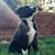 Nancy Eha Blackmon's profile image