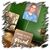 Mary Moyer's profile image