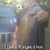 Frank Godfrey's profile image
