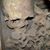 Jordan Thomas's profile image
