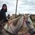 Cristina Silva's profile image