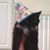 Kathy Mcwhirter's profile image