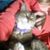 Michelle Bates Wolfe's profile image