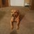 Tracy Perry-Grant's profile image