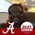 Sandra Dusty Glasper's profile image