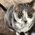 Casey Hoffmann Trost's profile image
