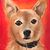 Debbie Onorato's profile image