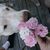 Nancy Fisk's profile image
