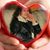 Mayra Carlin's profile image