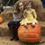 Olivia Schutte's profile image