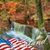 Sharon Collins's profile image