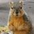 Carl Letourneau's profile image