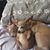 Sherry Giroux's profile image