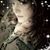 Rhonda Cha'Grr Bade's profile image