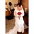 Amy Williams's profile image