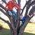 Lori Holtz's profile image