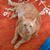 Sarah Gawreluk's profile image